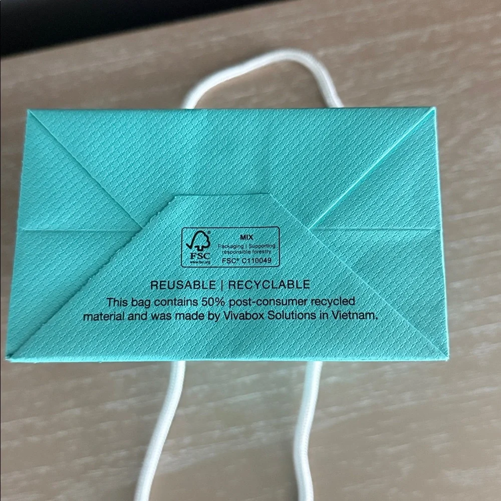 Tiffany & Co. Gift Bag with White Card